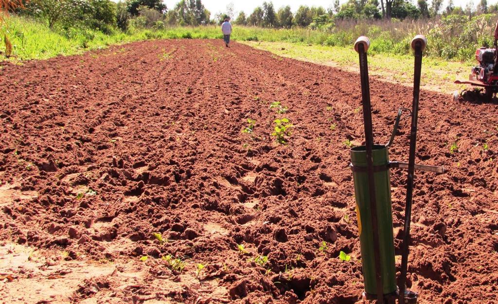 Tribunal rejeita pedido de assentados contra ordem de desocupação em Gália