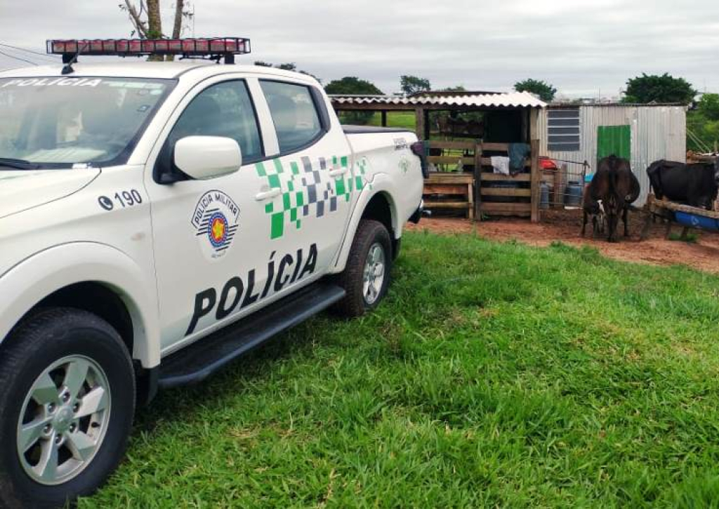 Ambiental multa criador em R$ 9.000 por galos com sinais de rinha em Marília