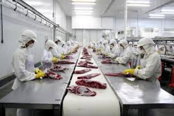 Mercado de bois - País faz acordo e volta a exportar carne para EUA