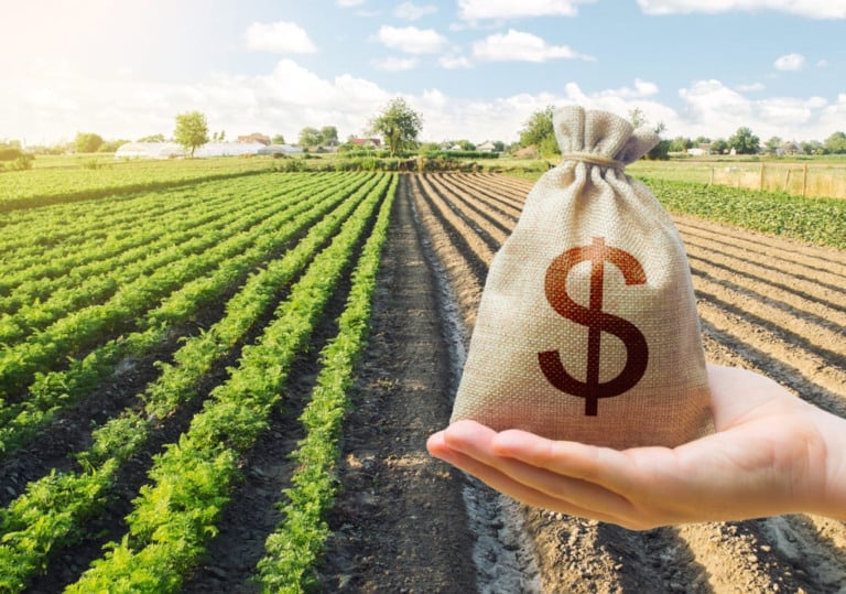 Atenção produtor rural: prazo para pagar ITR vai até 29 de setembro