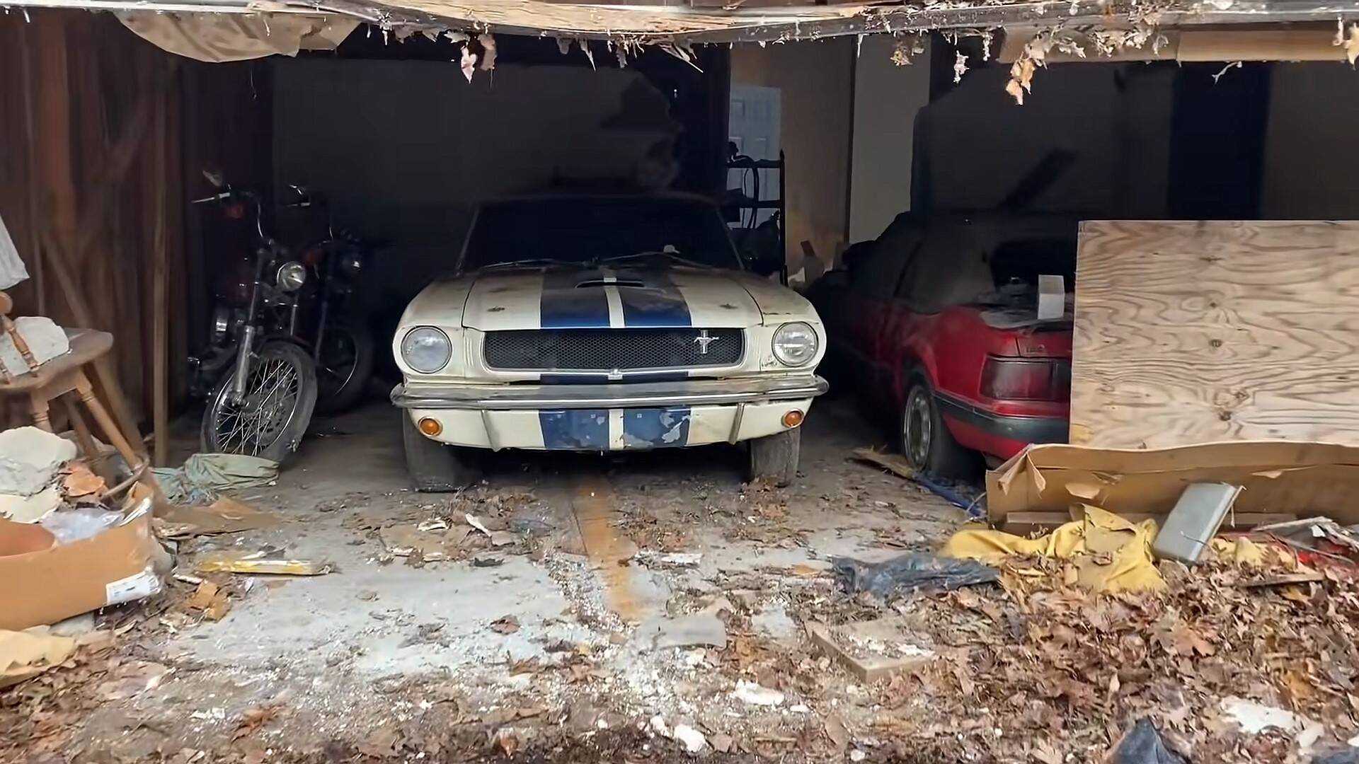 Mustang Shelby GT350 1965 . Foto: Reprodução