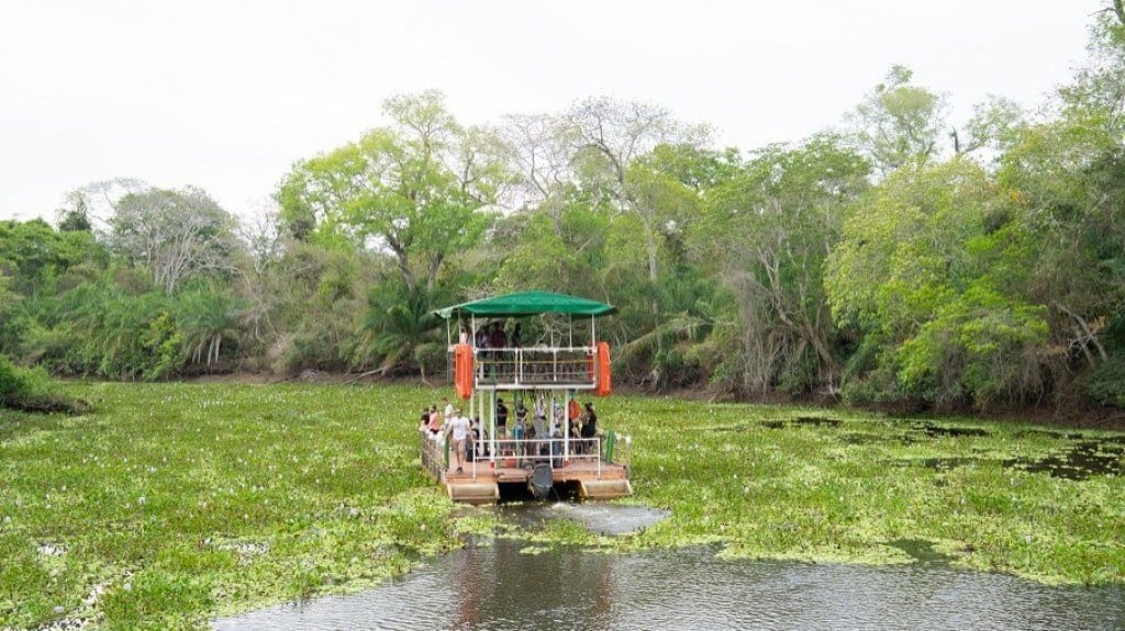 Regravação de 'Pantanal' aquece turismo na região mato-grossense