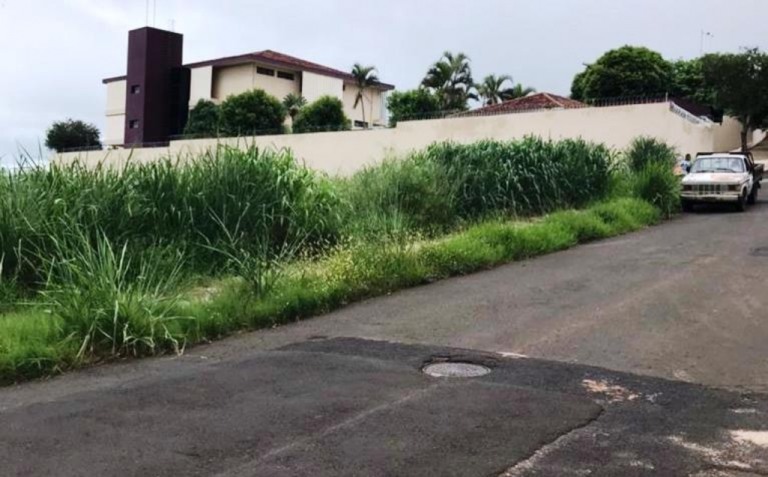 VC no Giro – Vizinhos pedem limpeza em matagal mais alto que veículos no centro