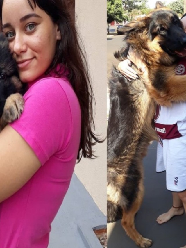 Fofura! Mulher recria foto com cão todo mês para mostrar o crescimento dele