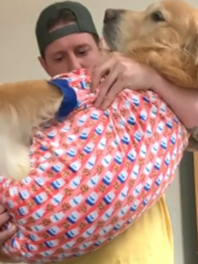 Cão usa pijamas e tem a rotina noturna mais fofa que você vai ver