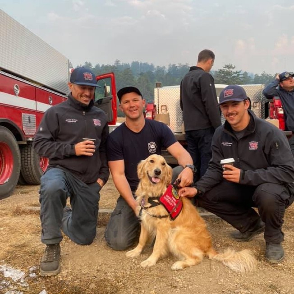 Cãozinho fofo conforta bombeiros que combatem incêndios na Califórnia