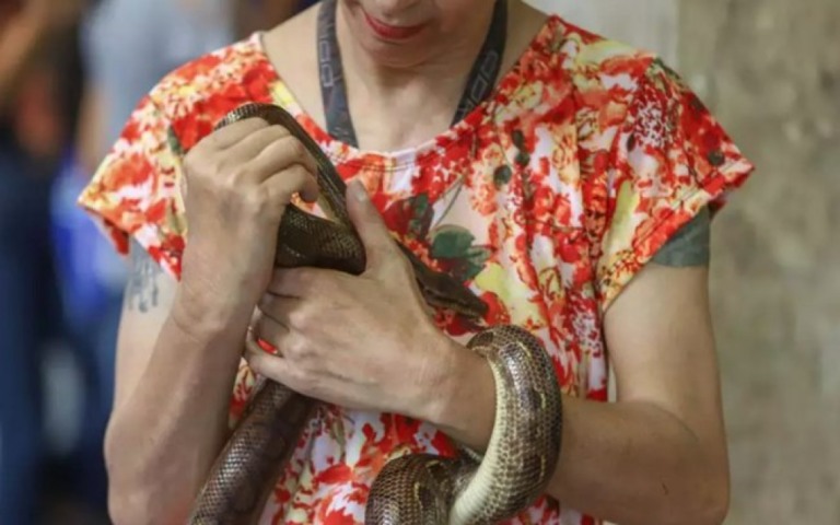 Mulher passeia com cobra por ruas do centro de BH; assista vídeo