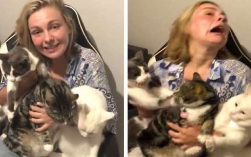 Mulher tenta tirar foto de família com os 3 gatos e resultado é hilário