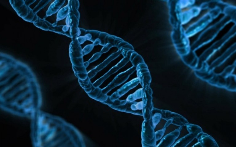Estudo encontra gene responsável por resposta imune à Covid-19 na América do Sul