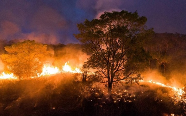 Fazendeiros serão indiciados pela PF após provas sobre incêndios no Pantanal