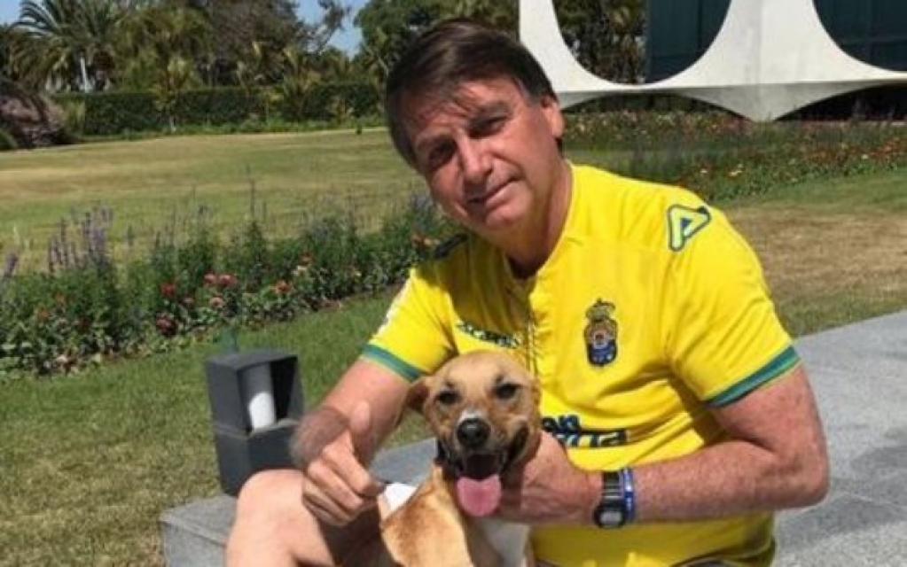 Bolsonaro irá sancionar projeto que aumenta pena para maus-tratos a cães e gatos