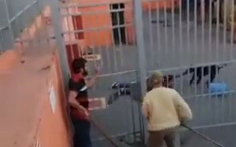 Mulher é indenizada por ataque de pitbull quando chegava para trabalhar