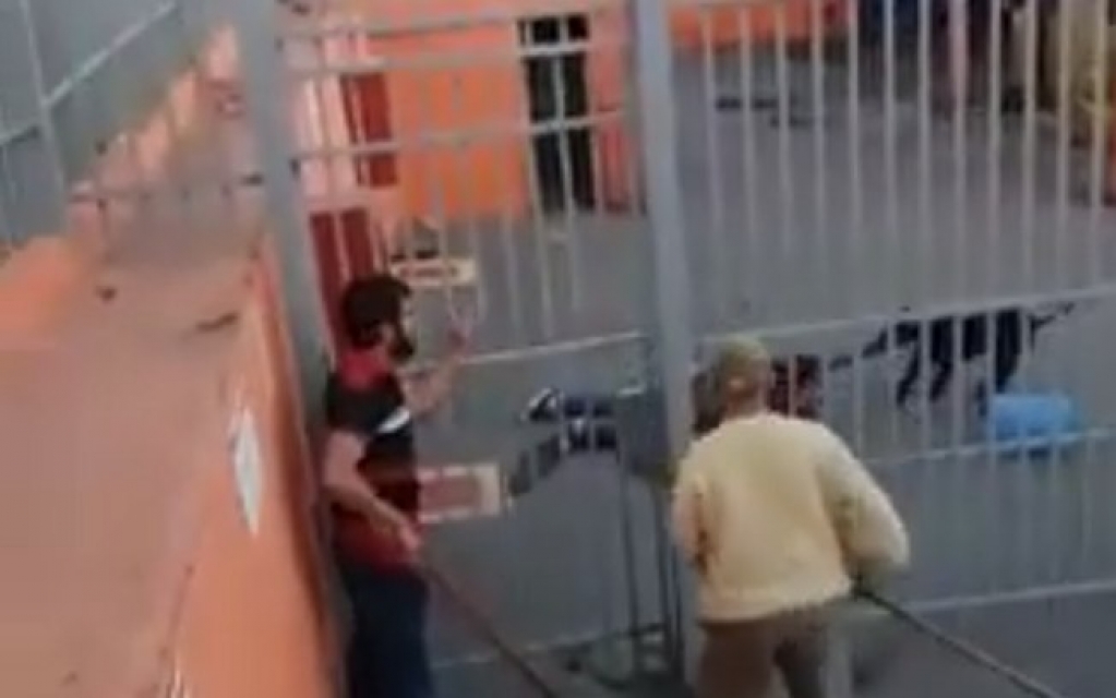 Mulher é indenizada por ataque de pitbull quando chegava para trabalhar Mulher é indenizada por ataque de pitbull quando chegava para trabalhar