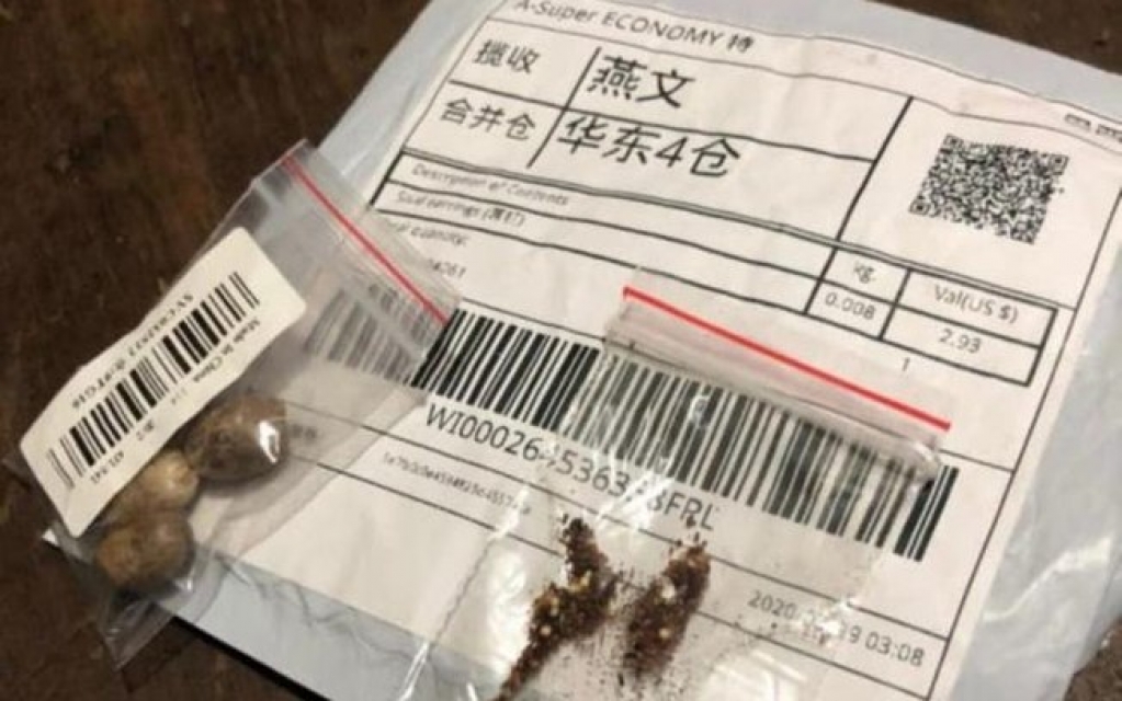 Ministério da Agricultura registra 36 casos de sementes misteriosas da China Ministério da Agricultura registra 36 casos de sementes misteriosas da China