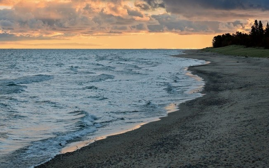 Cientistas encontram coronavírus em quatro praias dos EUA