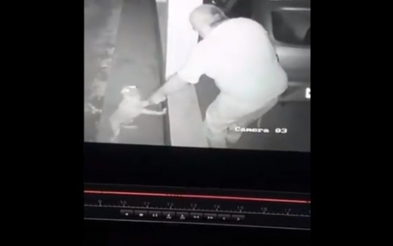 Idoso dá tiro e surra de cinta em cachorro da família; assista
