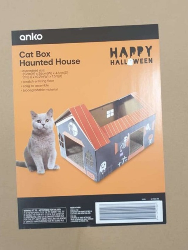 Gato ganha casinha menor que seu tamanho e o resultado é hilário