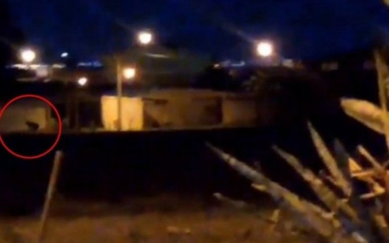 'Lobisomem'? Vídeo misterioso intriga internautas e moradores no DF; veja