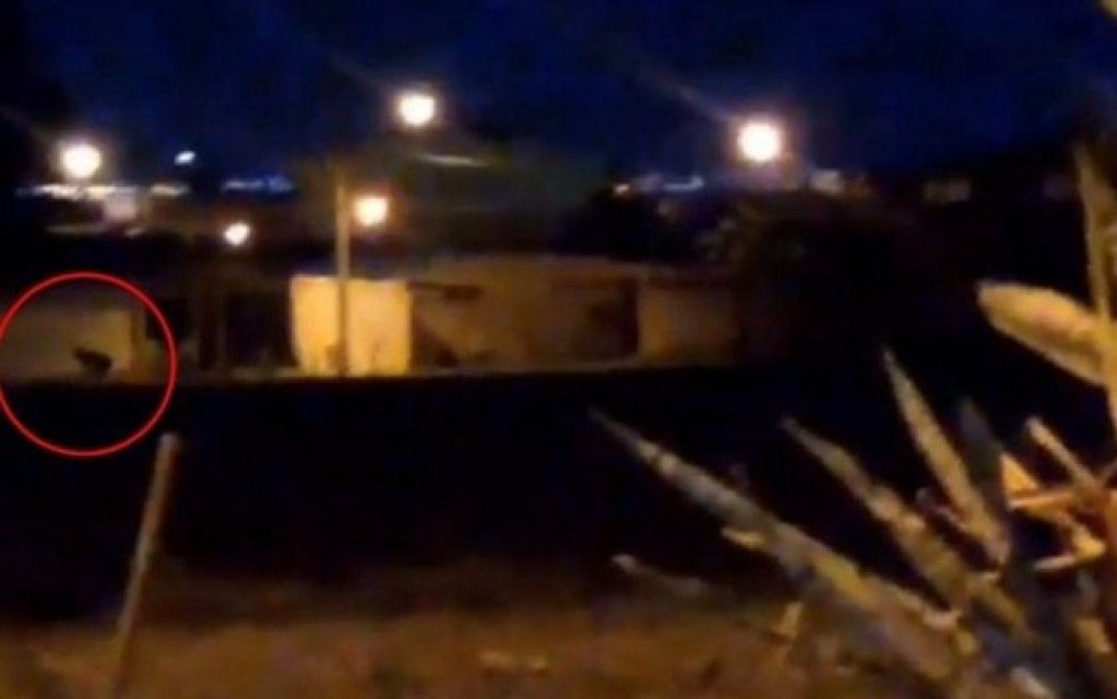 'Lobisomem'? Vídeo misterioso intriga internautas e moradores no DF; veja