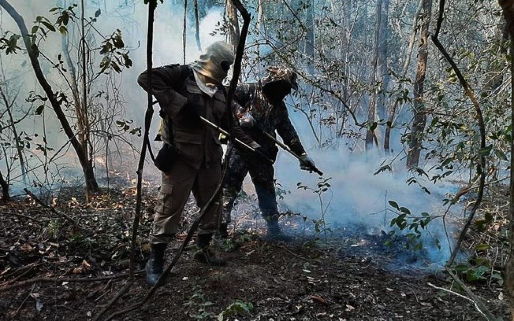 Força Nacional vai reforçar combate aos incêndios no Pantanal