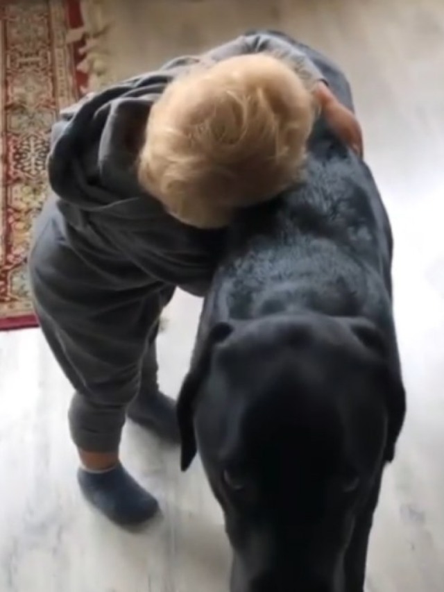 Amizade de cão com bebê vai derreter seu coração