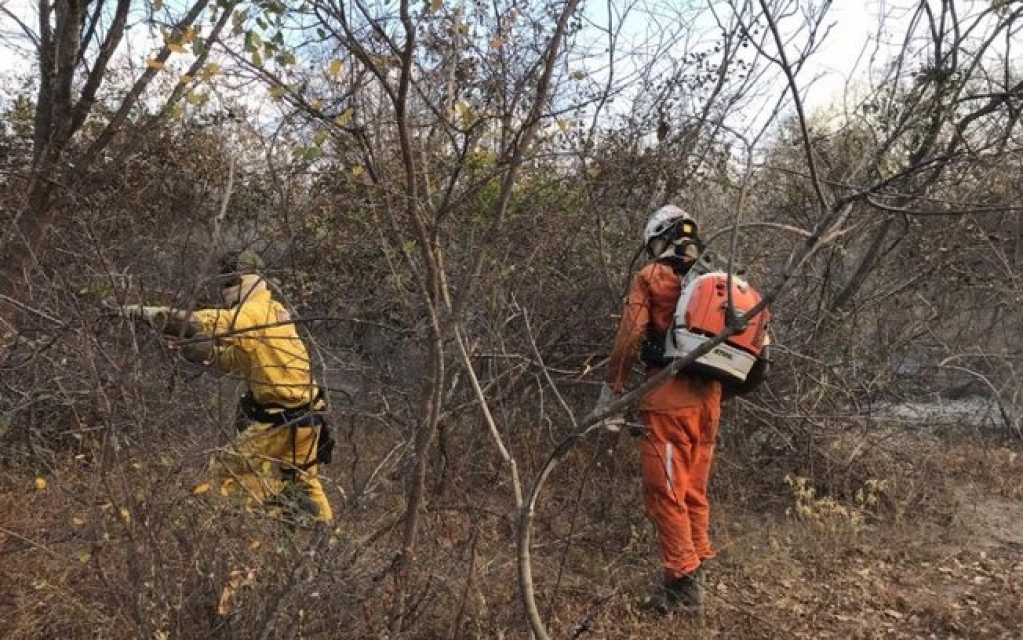 Bahia: governo decreta estado de emergência em 73 municípios atingidos pelo fogo