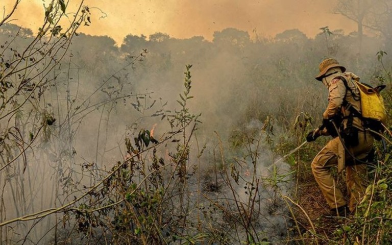 Combate ao fogo na Amazônia e Pantanal teve atraso de quatro meses