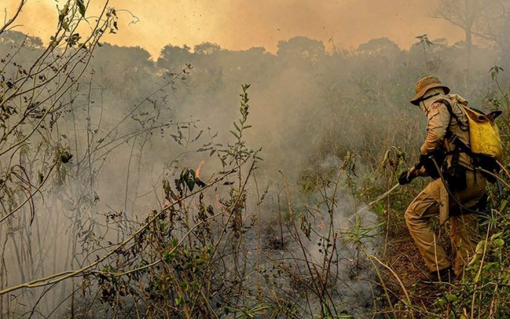 Combate ao fogo na Amazônia e Pantanal teve atraso de quatro meses Combate ao fogo na Amazônia e Pantanal teve atraso de quatro meses