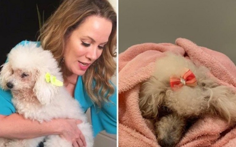 Regina Volpato lamenta morte de pet de estimação: "Te amo pra sempre"