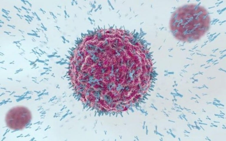 Holanda registra primeiro caso de morte após reinfecção por coronavírus