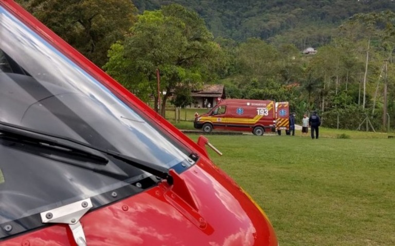 Idosa leva 50 picadas de abelha durante ataque