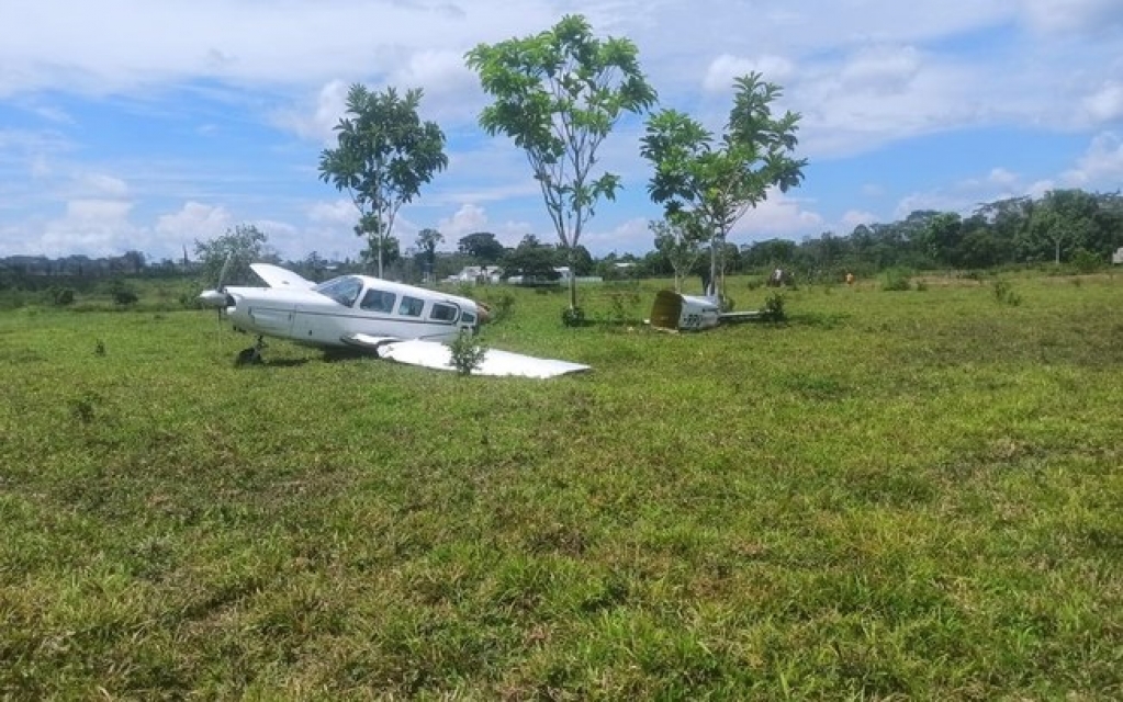 Avião parte ao meio depois de bater em vaca