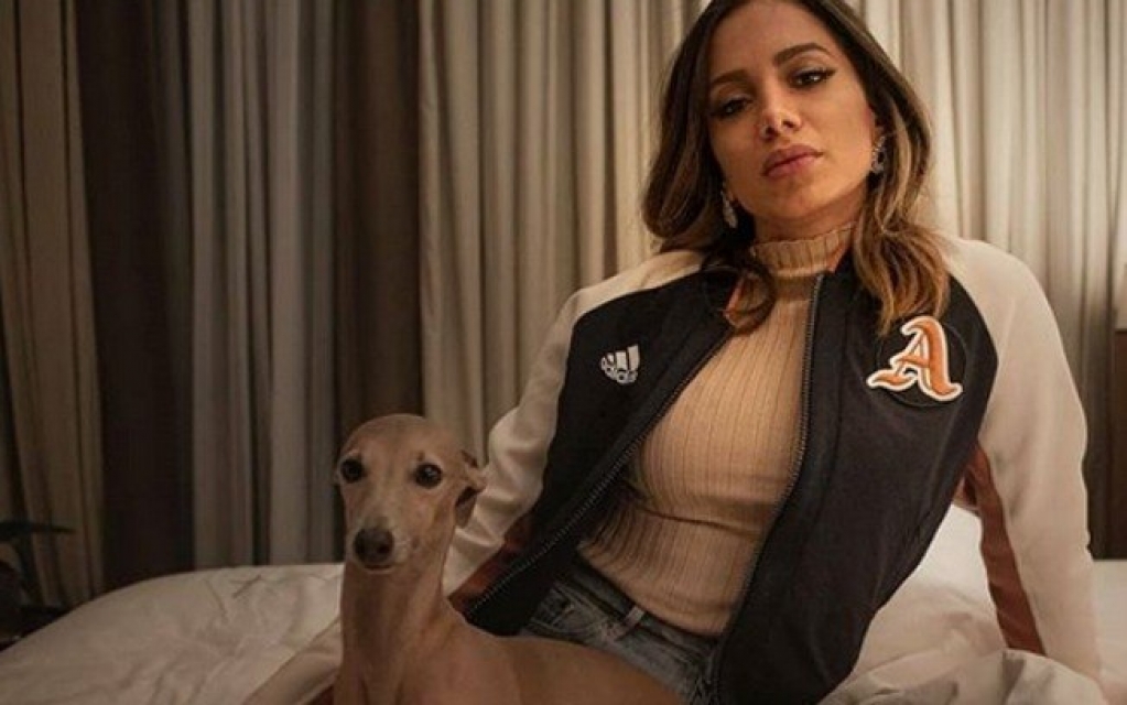 Conheça Plínio, o cão da cantora Anitta que é super famoso na web