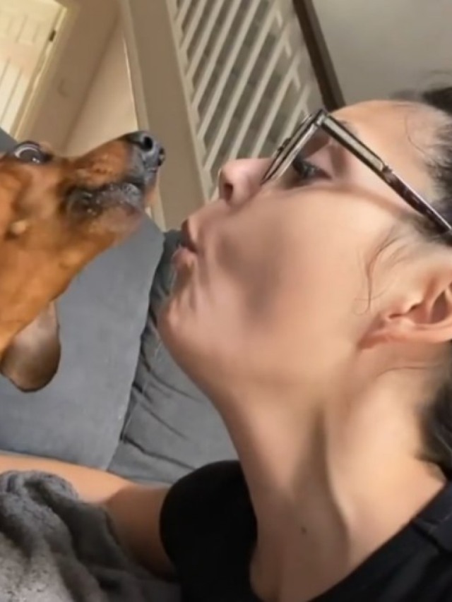 Cãozinho e dona soltam a voz e se mostram uma verdadeira dupla musical