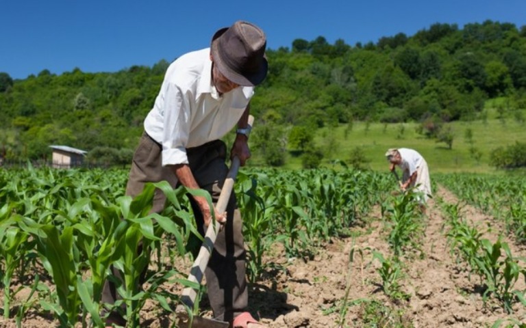 Regras para crédito rural a pequenos produtores são flexibilizadas