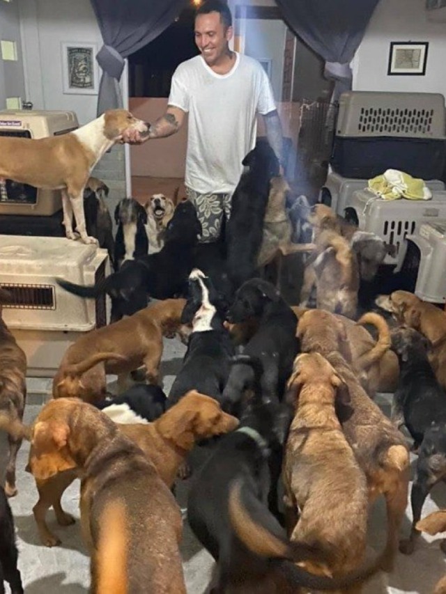 Homem acolhe 300 cães em sua casa para protegê-los de furacão