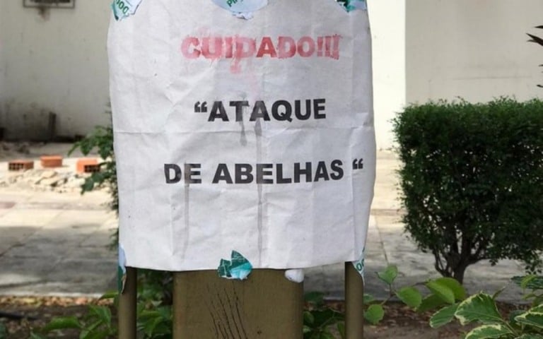Ataque de abelhas deixa 7 feridos em Fortaleza; uma pessoa em estado grave