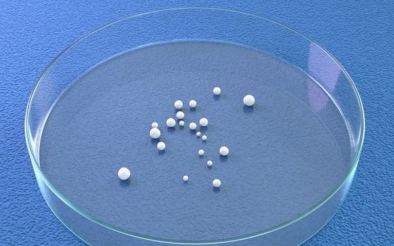Cientistas criam miniórgãos e revolucionam o conhecimento sobre a covid-19