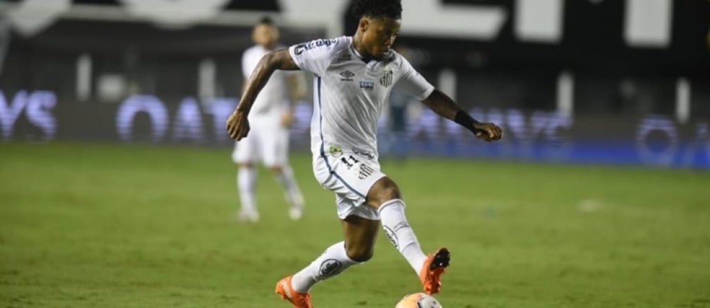 Mesmo com derrota Santos avança nas quartas de finais da Libertadores