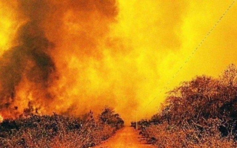 Relatório diz que governo e fator humano influenciaram queimadas no Pantanal