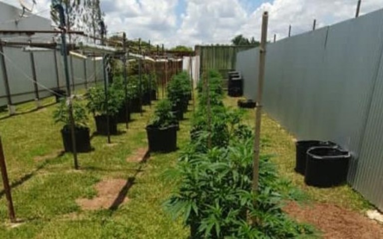 Mulher e filhos de delegado preso com plantação de maconha deixam presídio