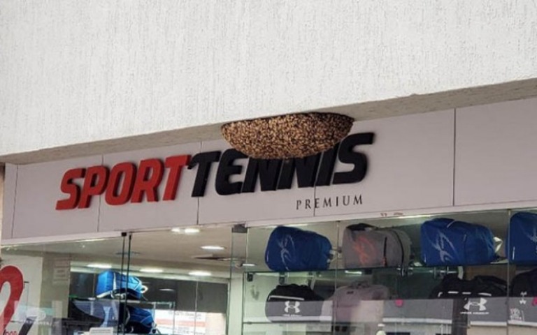 Enxame gigante na entrada de loja de shopping em Curitiba assusta visitantes