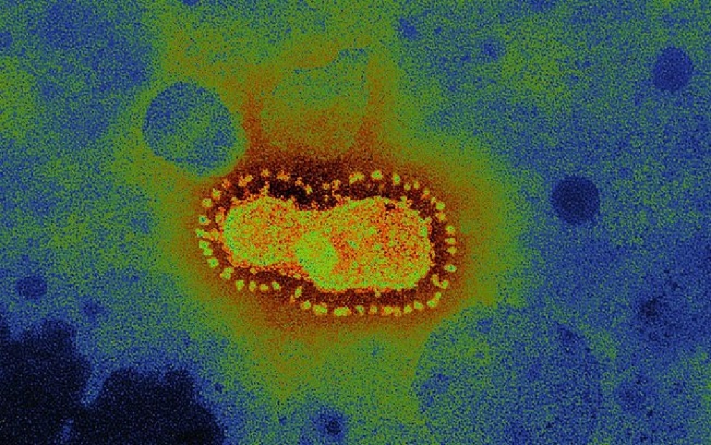 Brasil tem 58 casos suspeitos de reinfecção por Covid-19 e só um confirmado