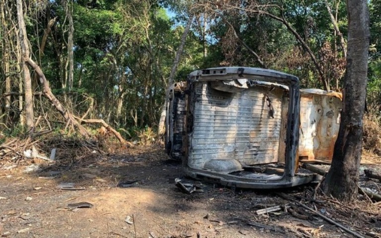 Van roubada com 70 gatos é encontrada em matagal na zona leste de SP