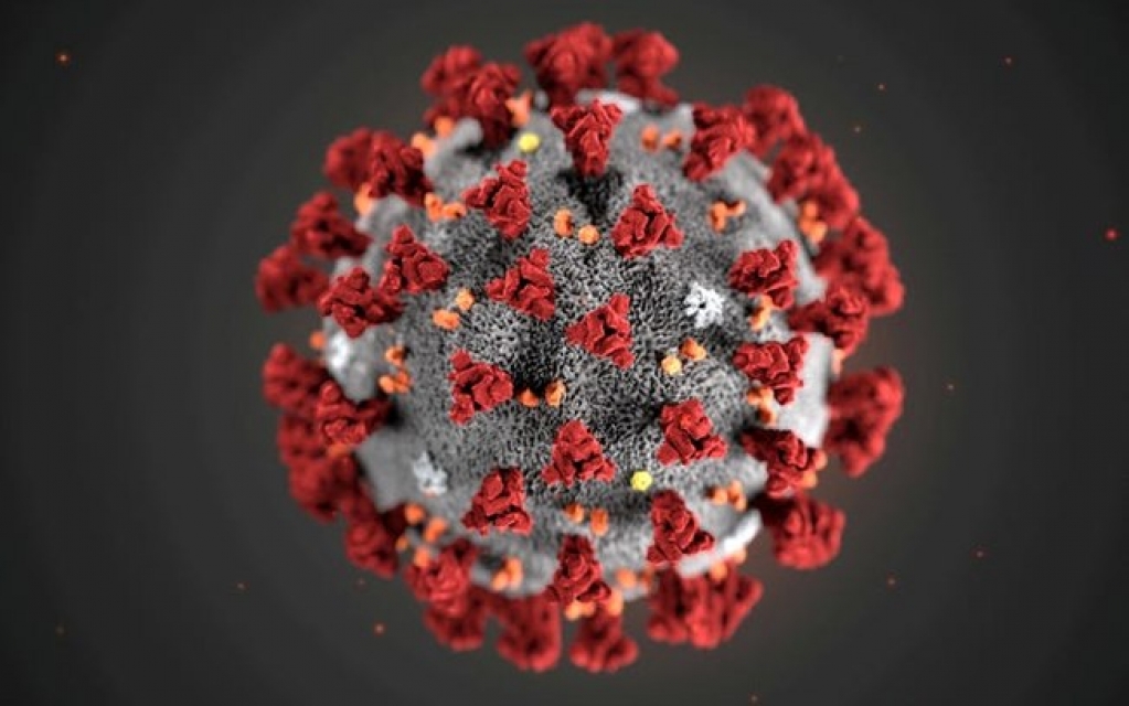 EUA registram primeiro caso de variante mais contagiosa do novo coronavírus