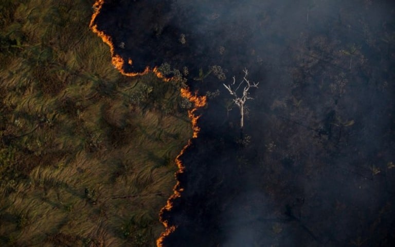 Inpe aponta que desmatamento na Amazônia cresceu 14%