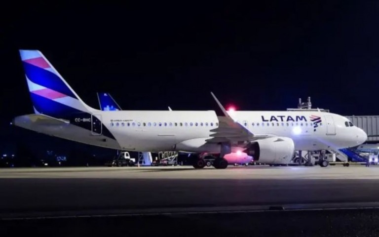 Avião atropela capivara durante decolagem e faz pouso de emergência; assista