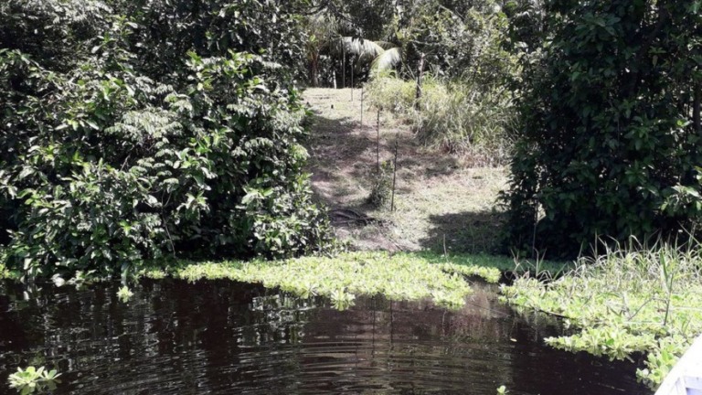 Mourão defende novo modelo de desenvolvimento para a Amazônia