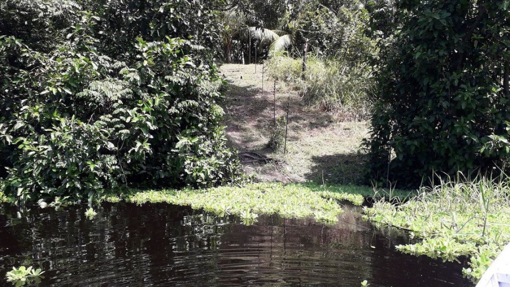 Mourão defende novo modelo de desenvolvimento para a Amazônia Mourão defende novo modelo de desenvolvimento para a Amazônia