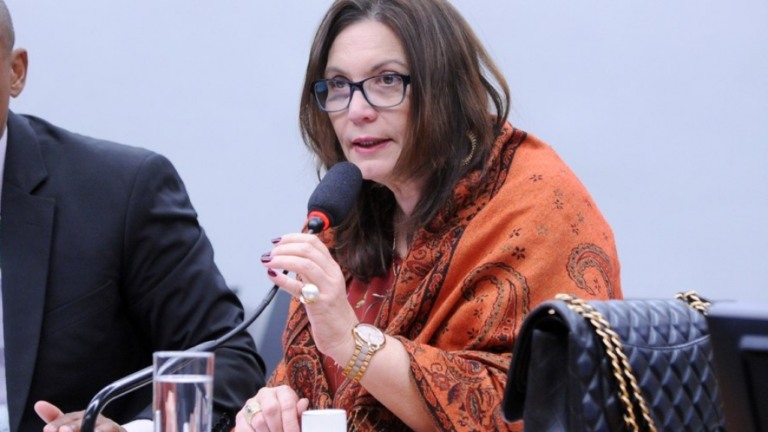 PSOL quer suspenção do sigilo do inquérito de Bia Kicis e Zambelli por fake news